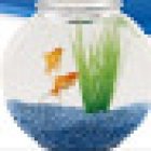 COSMO AQUARIUM Fish Store