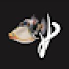 Picasso Exotic Aquatics