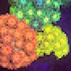 Aquarium Obsessions Saltwater Shop