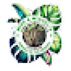 Mike & Miguel's Fish and Plant Store