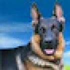 Veterinary Clinic and Aquarius Noa