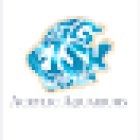 Big Fish Custom Acrylic Aquariums