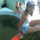 Shark Park NSB-Shark Capital of the World