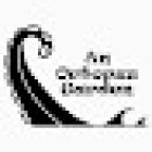 An Octopus Garden - Aquarium Store