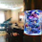 Aquarium Reef Illusions