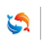 Aqua Land Aquarium And Pet Food I Aquarium and Pet Food in Dubai | UAE