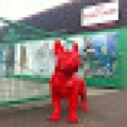 Boutsen Dierenspeciaalzaak - Hengelsport