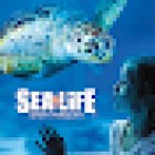 SEA LIFE Great Yarmouth