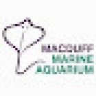 Macduff Marine Aquarium
