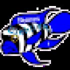 Shammi Cichlids Aquatics