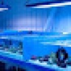 Rock 'N' Critters Marine Aquatics