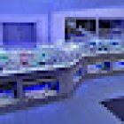 Fish and More The aquaristic and pond Specialists