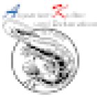 Aquariumkultur und Dekoration