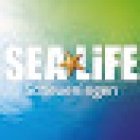 Sea Life Scheveningen