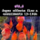 Qua La Zampa Di Manuel Mangoni