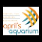 April's Aquarium