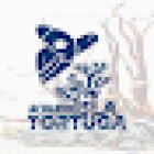 Acuario Isla Tortuga