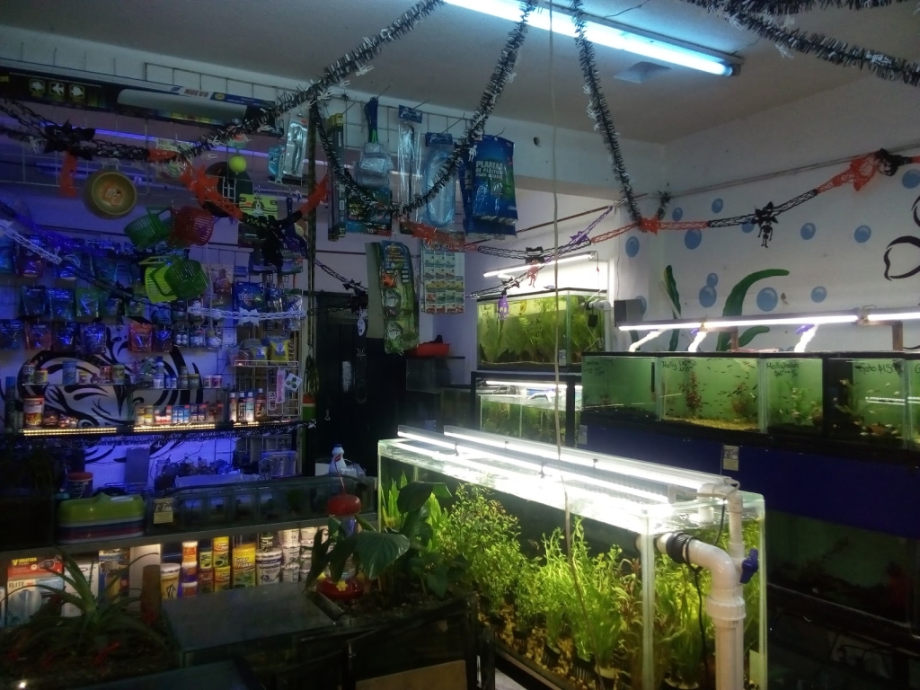 Petshop y Acuario Piscis