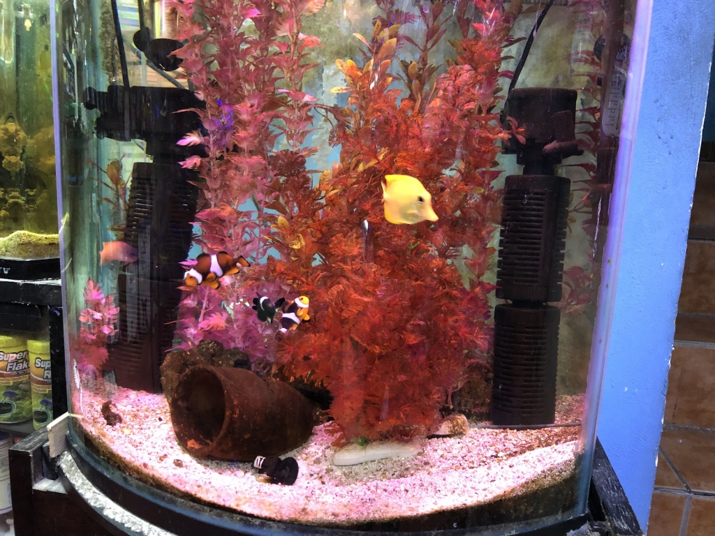 Acuario Ocean Reef