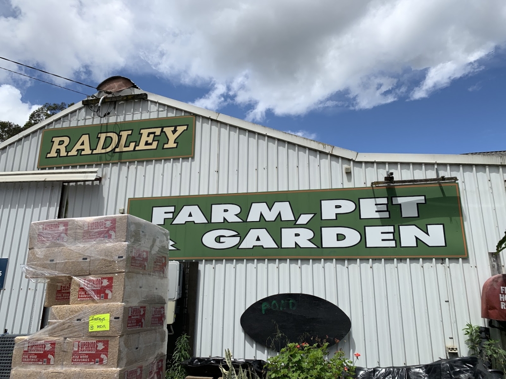 Acuario y Mascotas de Radley