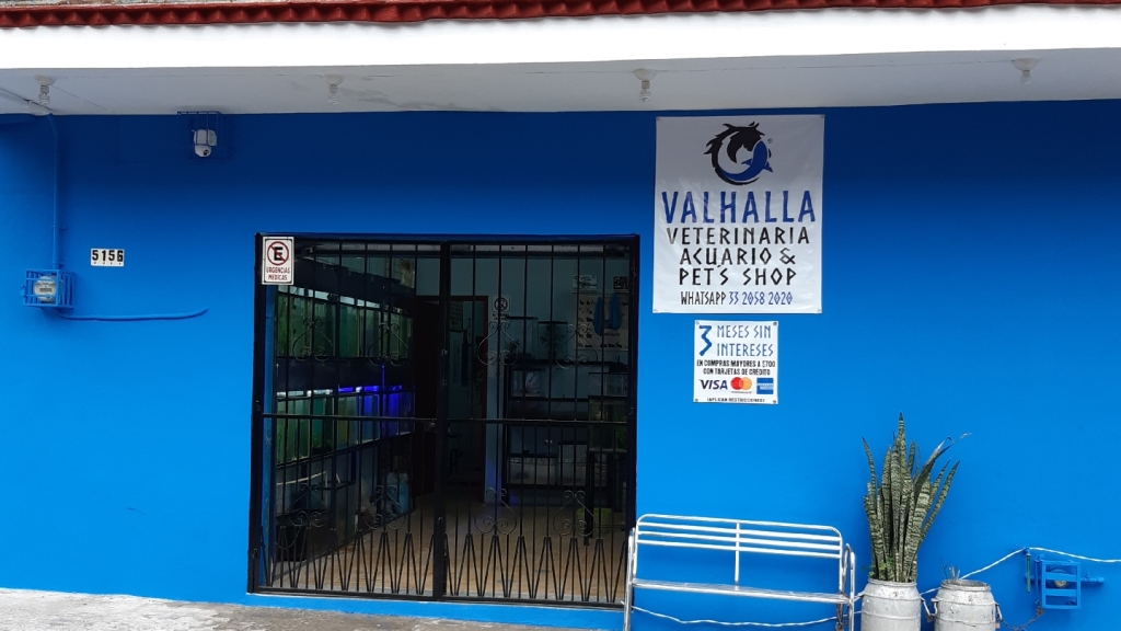 Valhalla Veterinaria, Acuario & Pet's Shop