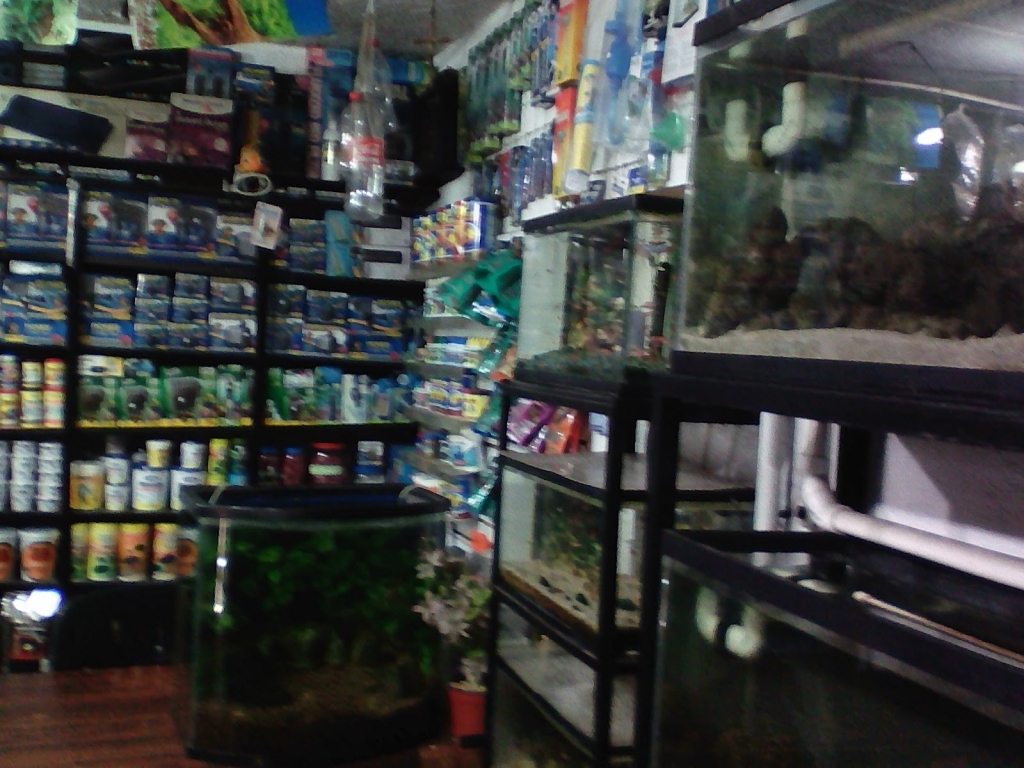 Acuario el Delfín de Cuernavaca
