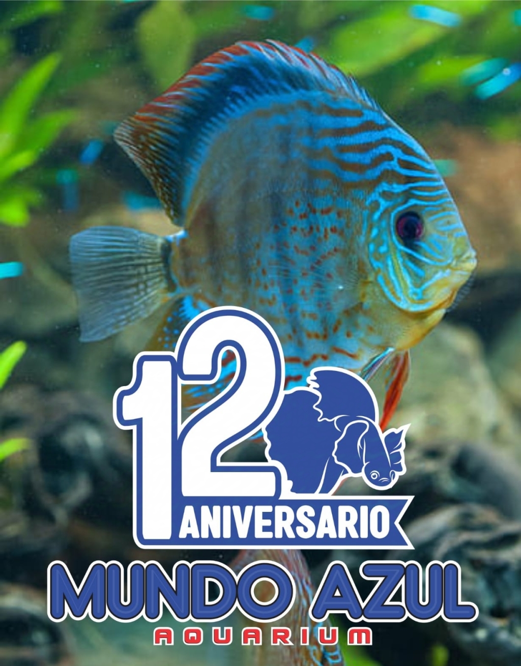 Acuario Mundo Azul