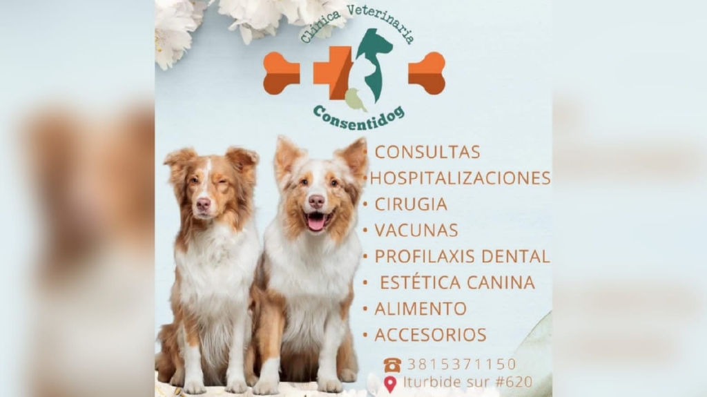 Clínica Veterinaria Consentidog