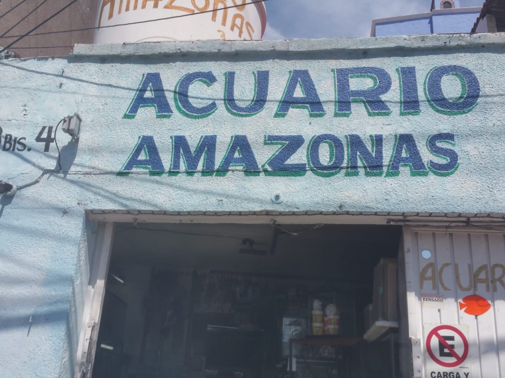 AMAZONAS Aquarium