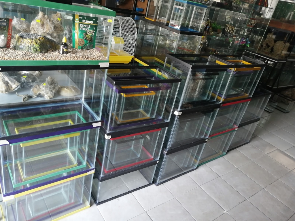 Marine World Aquarium