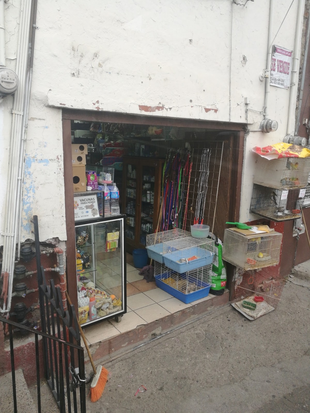 Maskotitas Animal Shop Food, Medications