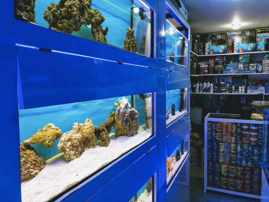 Reef Magic Mexico