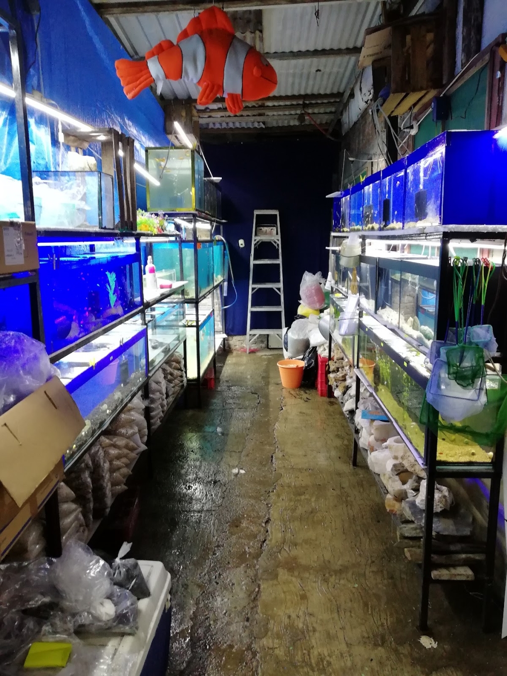 Acuario Petromex