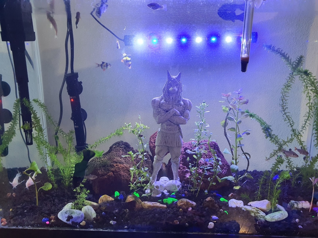 El Jardín de los Peces