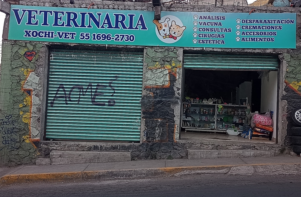 XOCHI-VET