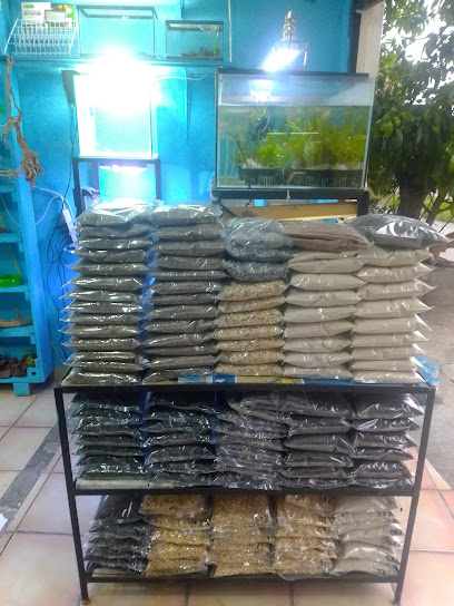 Cetec Tejalpa