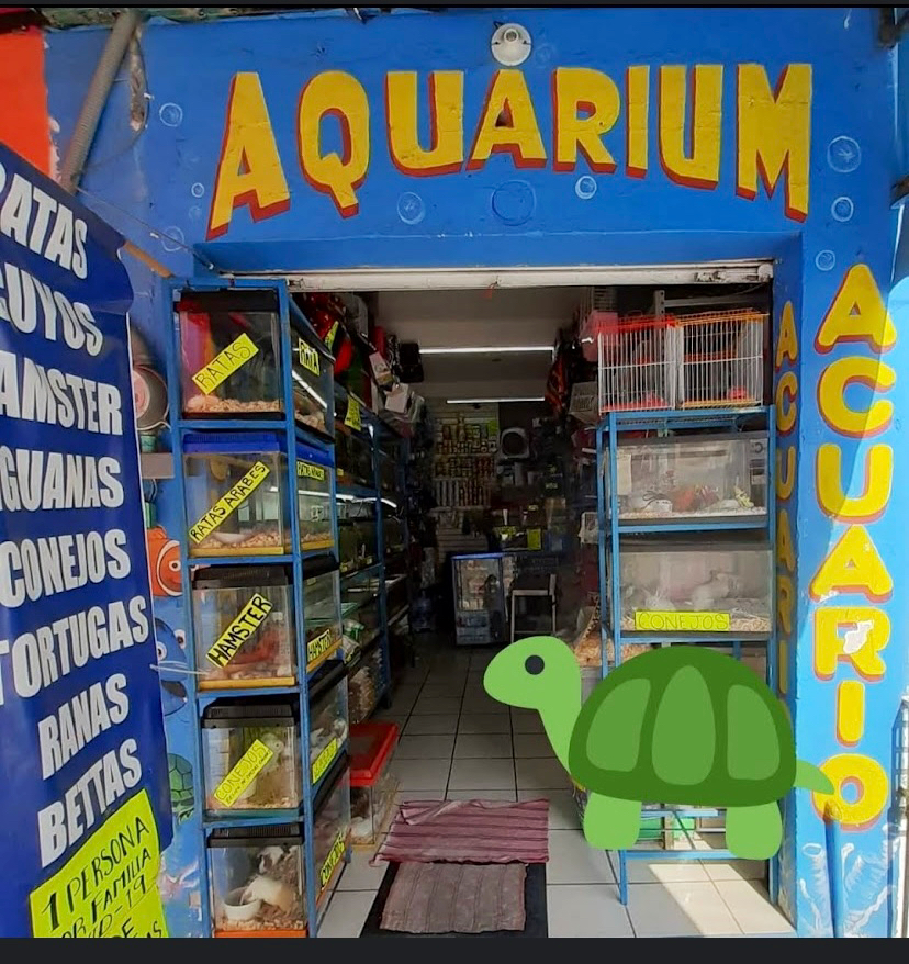 Acuario Aquarium