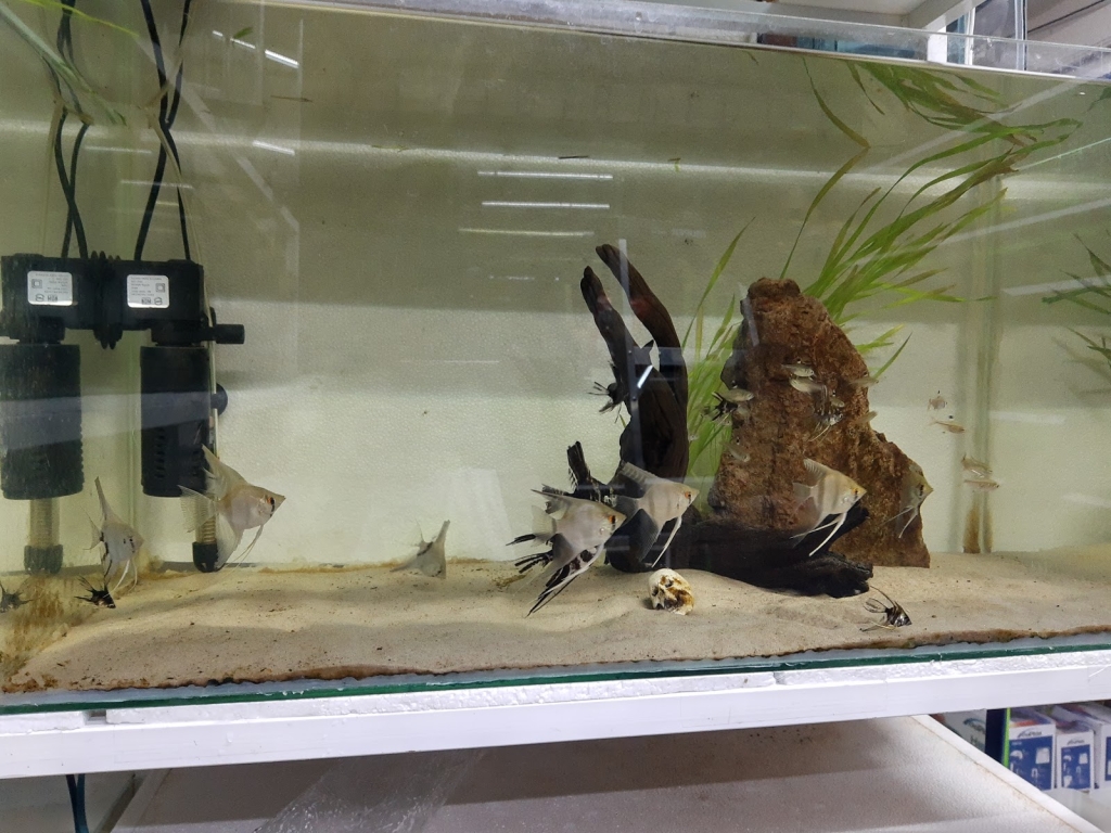 Aquarium U&V