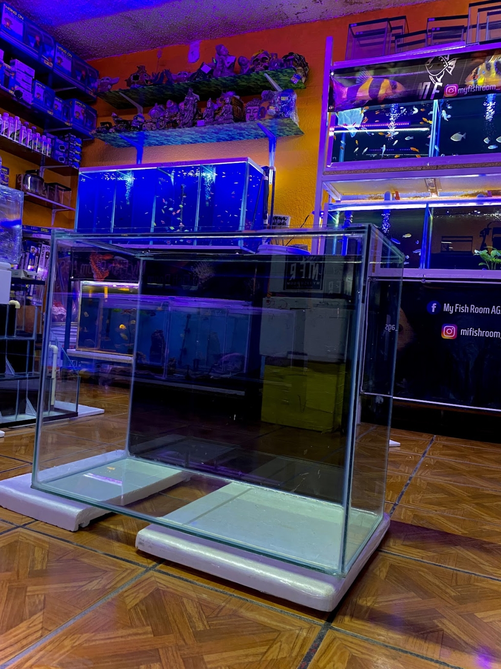 Mi Sala de Peces AGS