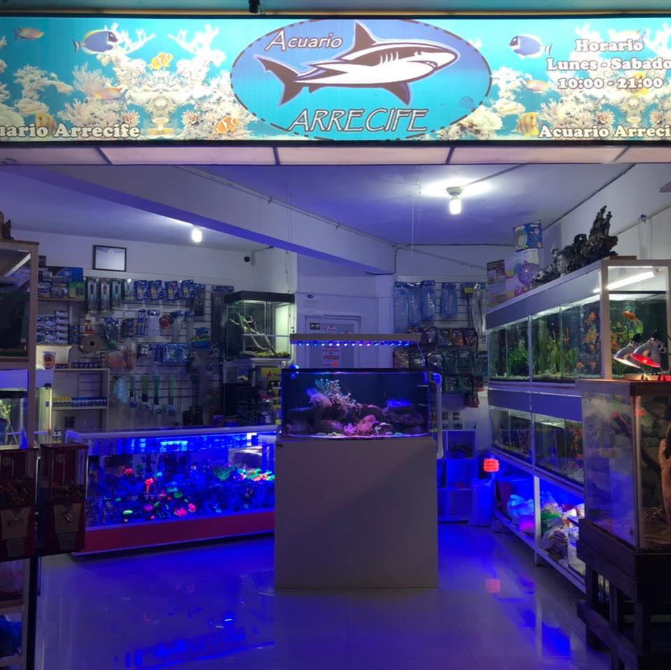 Los Michis Xalapa tienda de mascotas