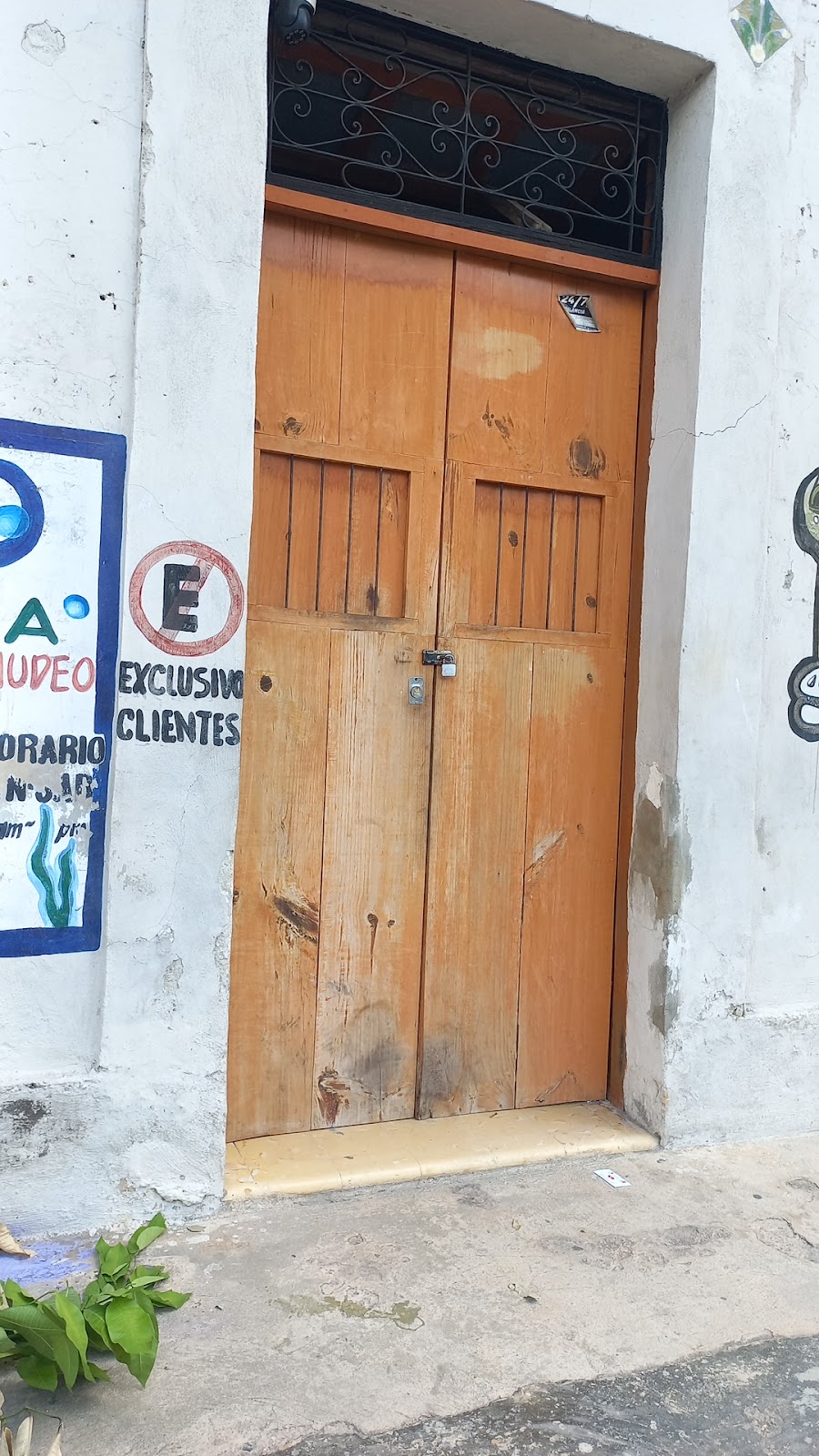 Goldfish Oranda Aquarium Landscaping