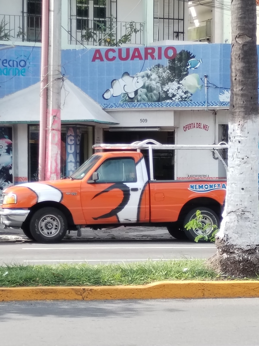 Acuario Tecnomarine