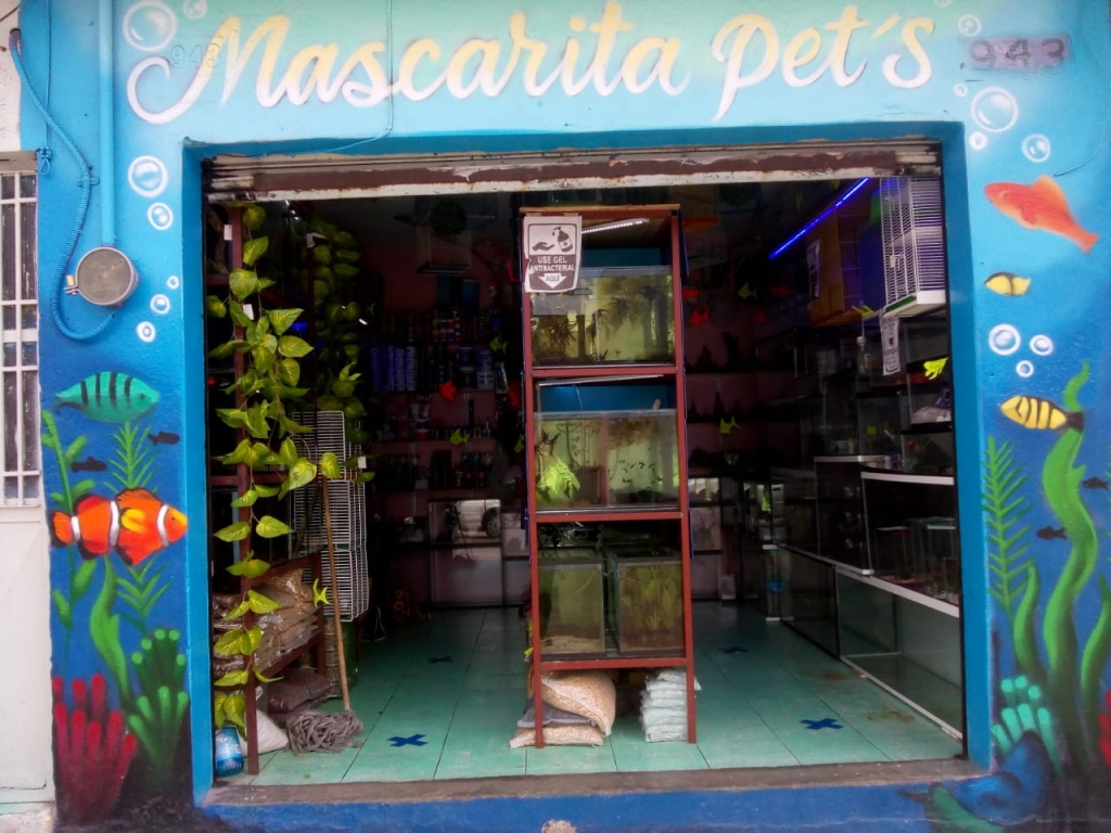 Mascarita Pet's Aquarium