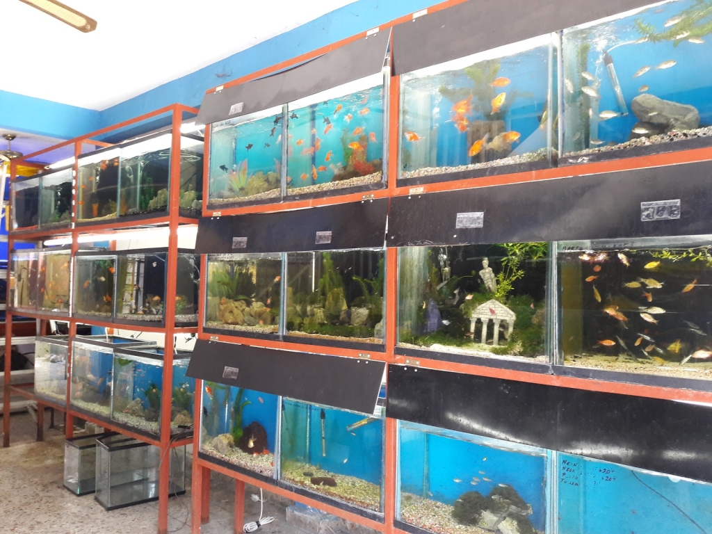 Aquamundo Orizaba