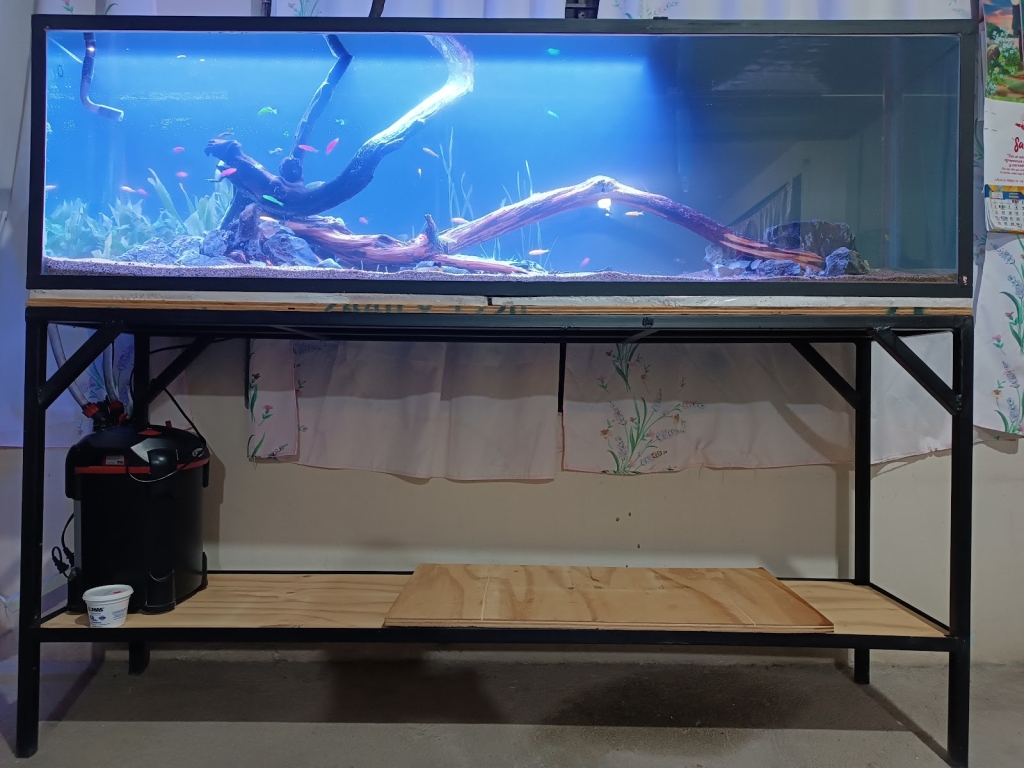 Ixmiquilpan Aquarium