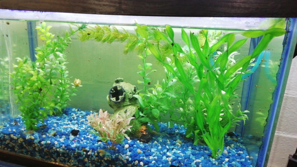 Aqua Mundo