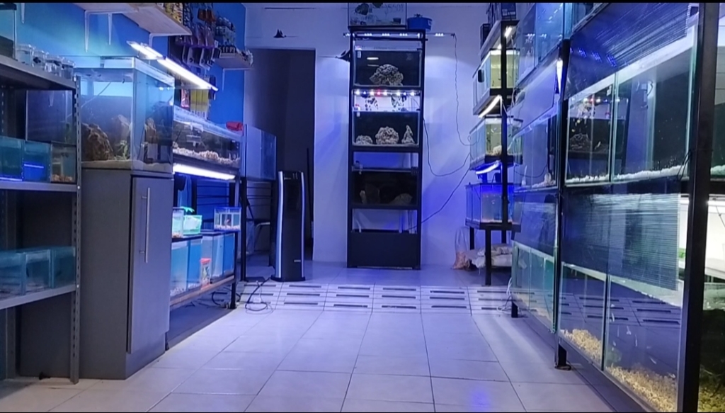 Flames Exotics Aquarium