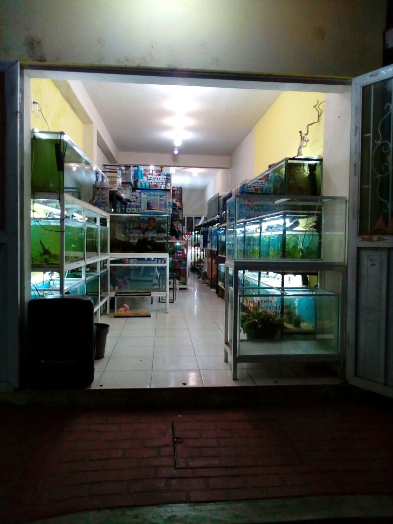 Oceanic Acuario La Trinitaria