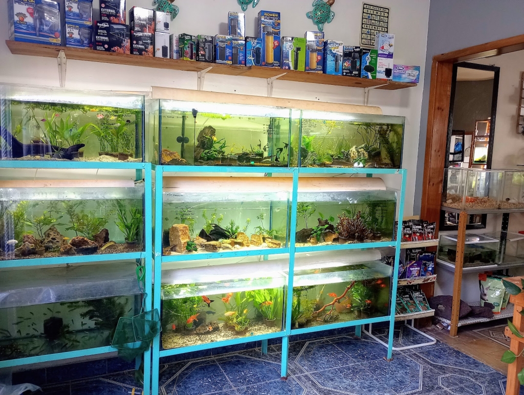 Aquarius. Peces y Mascotas