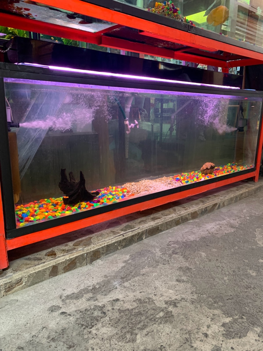 Acuario Internacional Loma Bonita